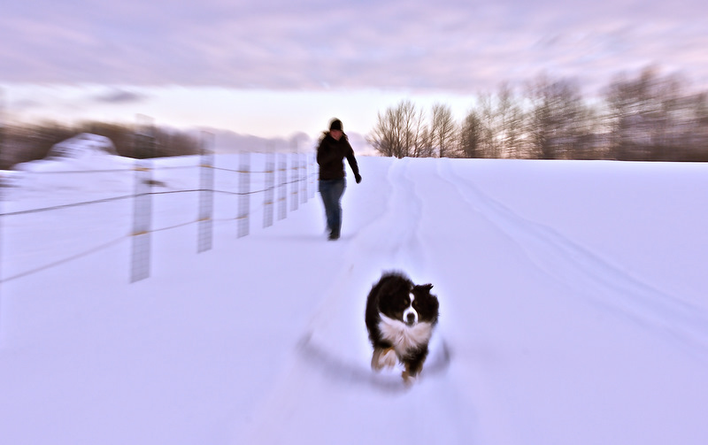 Illustration for article titled Zoom Photo Challenge Gallery 1